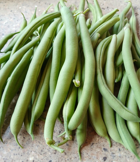 Provider Bean